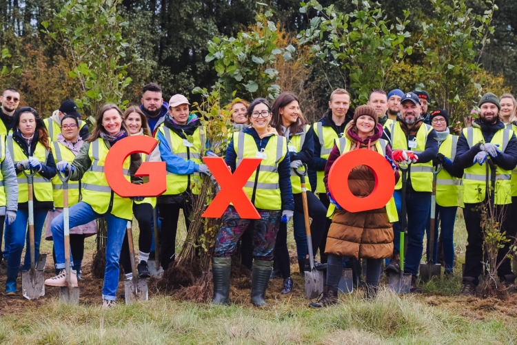 GXO świętuje 15 lat certyfikacji ISO swych centrów logistycznych w Polsce