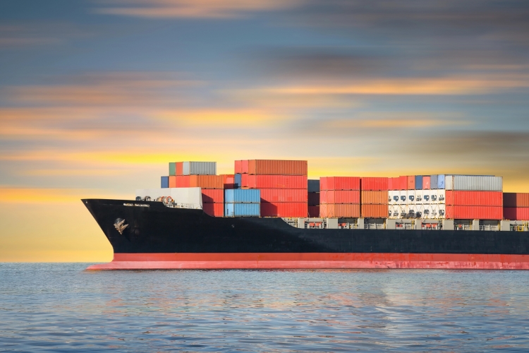 EUDR i wiarygodność firm w handlu międzynarodowym