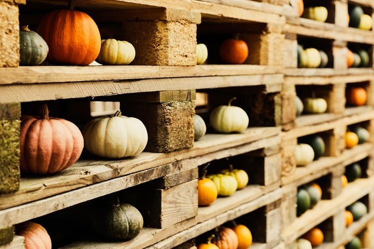 Jak tanio wysłać paletę kurierem? Poradnik dla firm i os&oacute;b prywatnych