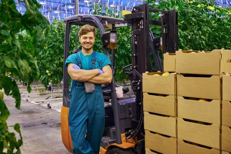 Elektryczne wózki widłowe – niezawodne urządzenia XXI wieku