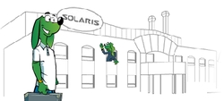 Solaris ma 15 lat