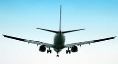 Zielone światło dla Ławicy