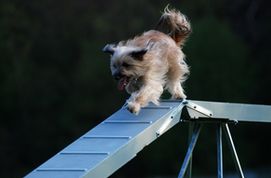 TNT i Fundacja Przyjaciel