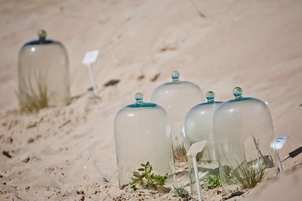 DCT Gdańsk i Laboratorium wydmowe