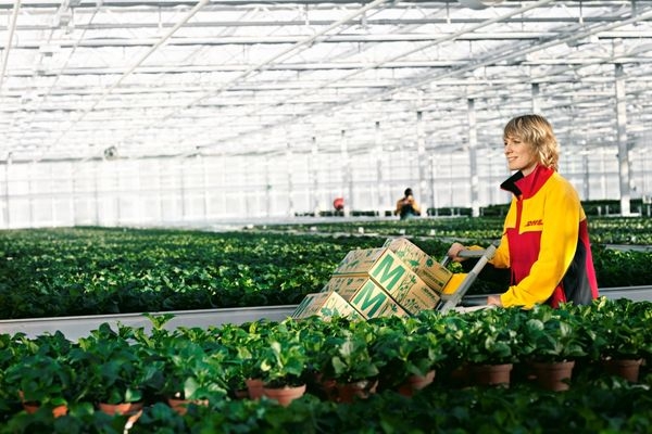 Tysiące pracowników Deutsche Post DHL wzięło udział  w międzynarodowym Światowym Dniu Środowiska