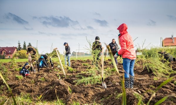 Grupa Raben posadziła już ponad 10 000 drzew