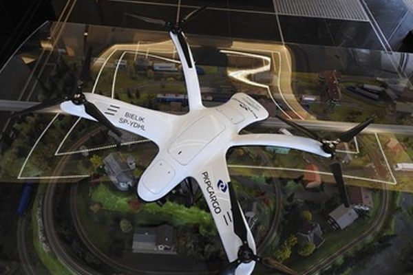 Bielik chroni ładunki PKP CARGO