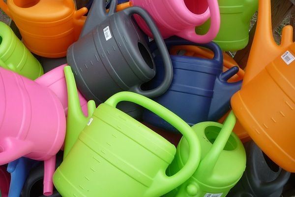 Dachser rozkwita w sezonie ogrodniczym