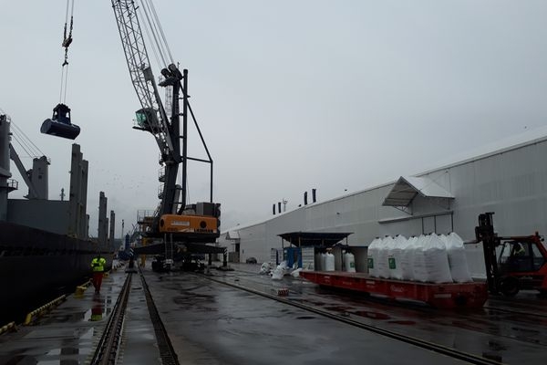 OT Port Gdynia obsługuje największy statek z mocznikiem granulowanym