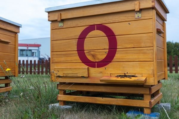 Nietypowi mieszkańcy parków logistycznych SEGRO