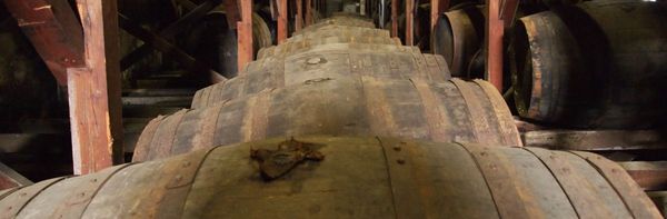 Alkoholowe białe kruki i logistyka