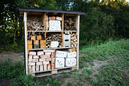 Panattoni Park Cheb South - najbardziej ekologiczny obiekt przemysłowy na świecie