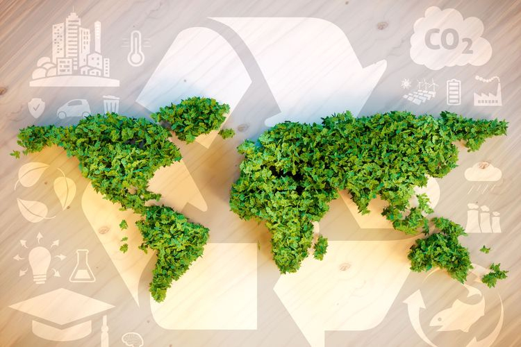 Fot. CHEP (A Brambles Company)