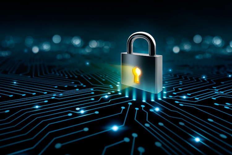 Twoje dane zostały ujawnione w sieci? Sprawdź, co możesz z tym zrobić