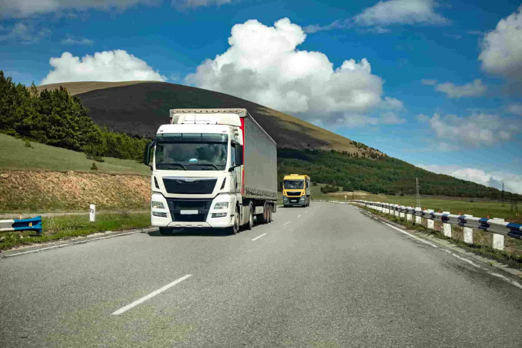 Licencja transportowa – czym jest i ile kosztuje?