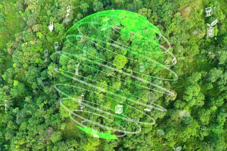 Znacząca większość globalnych firm zwiększa inwestycje w zrównoważony rozwój