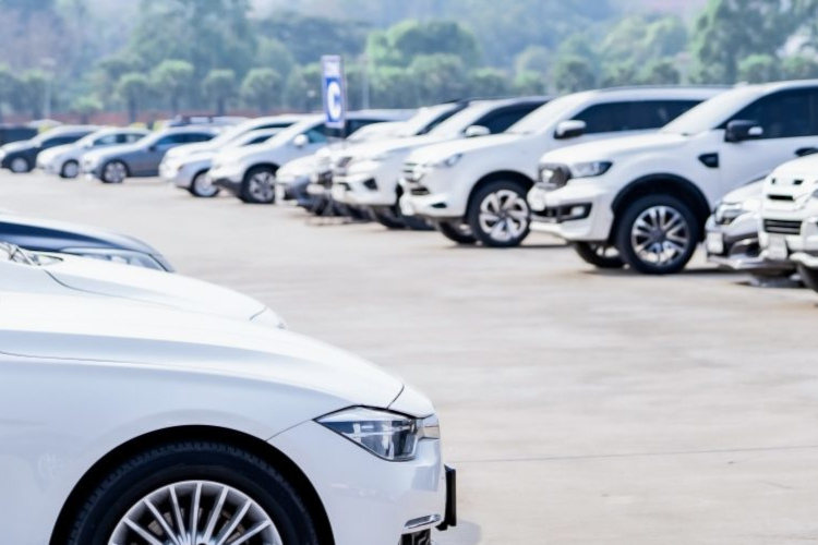 European Federation for Transport and Environment/AdobeStock