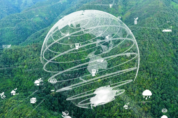 DSV – Global Transport and Logistics dołącza do UN Global Compact