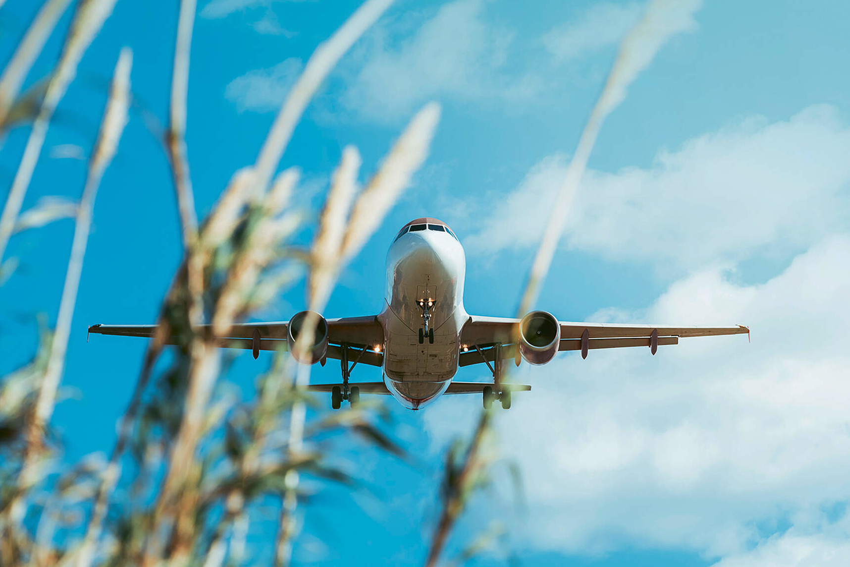 Gettyimages / Dachser