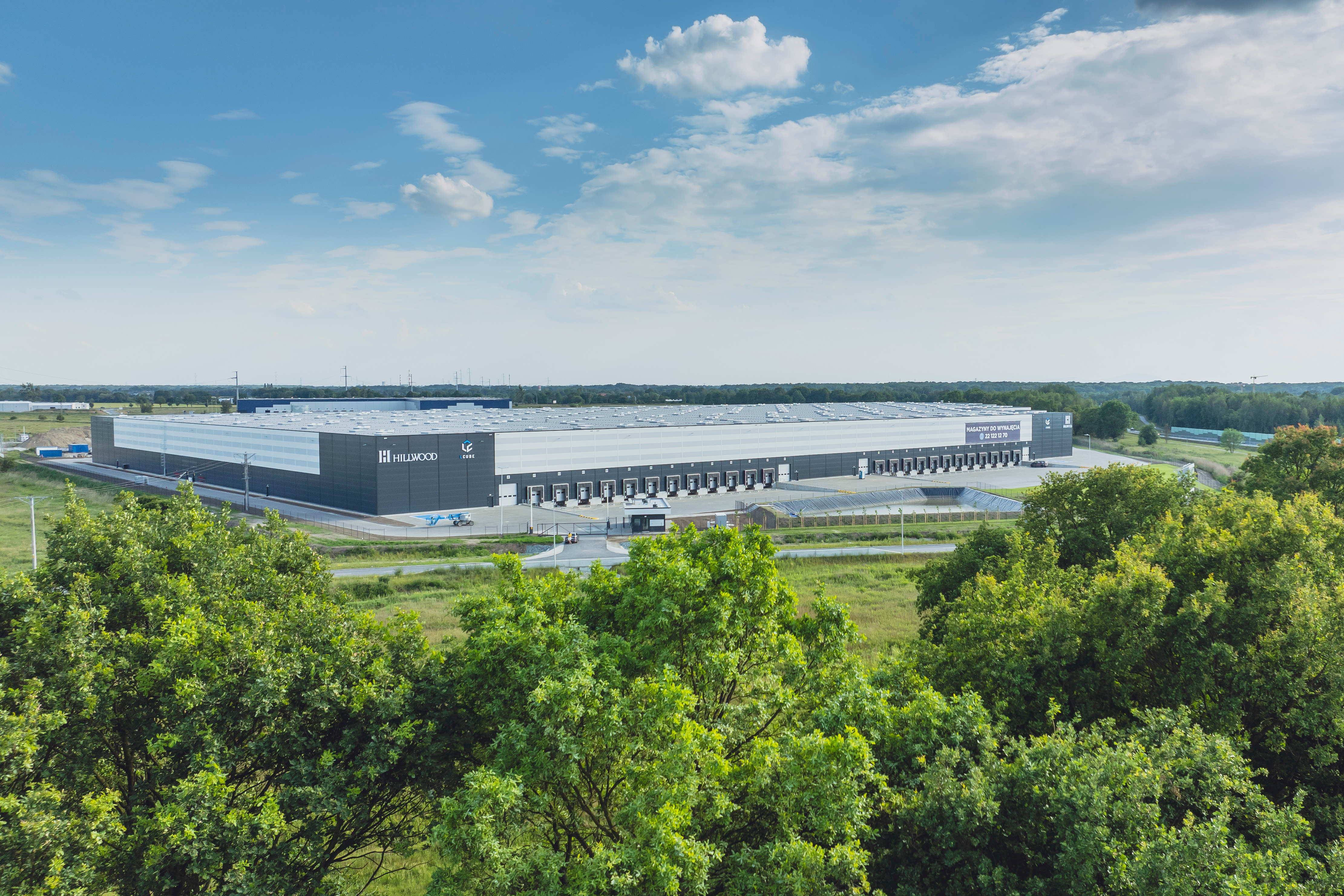 Wojciech Mateusiak / HIllwood