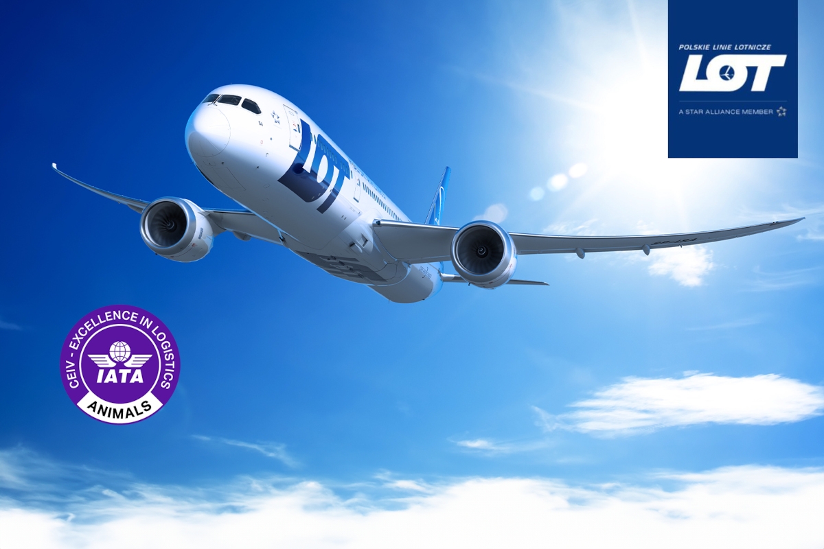 Czwarty certyfikat CEIV w portfolio Polskich Linii Lotniczych Lot