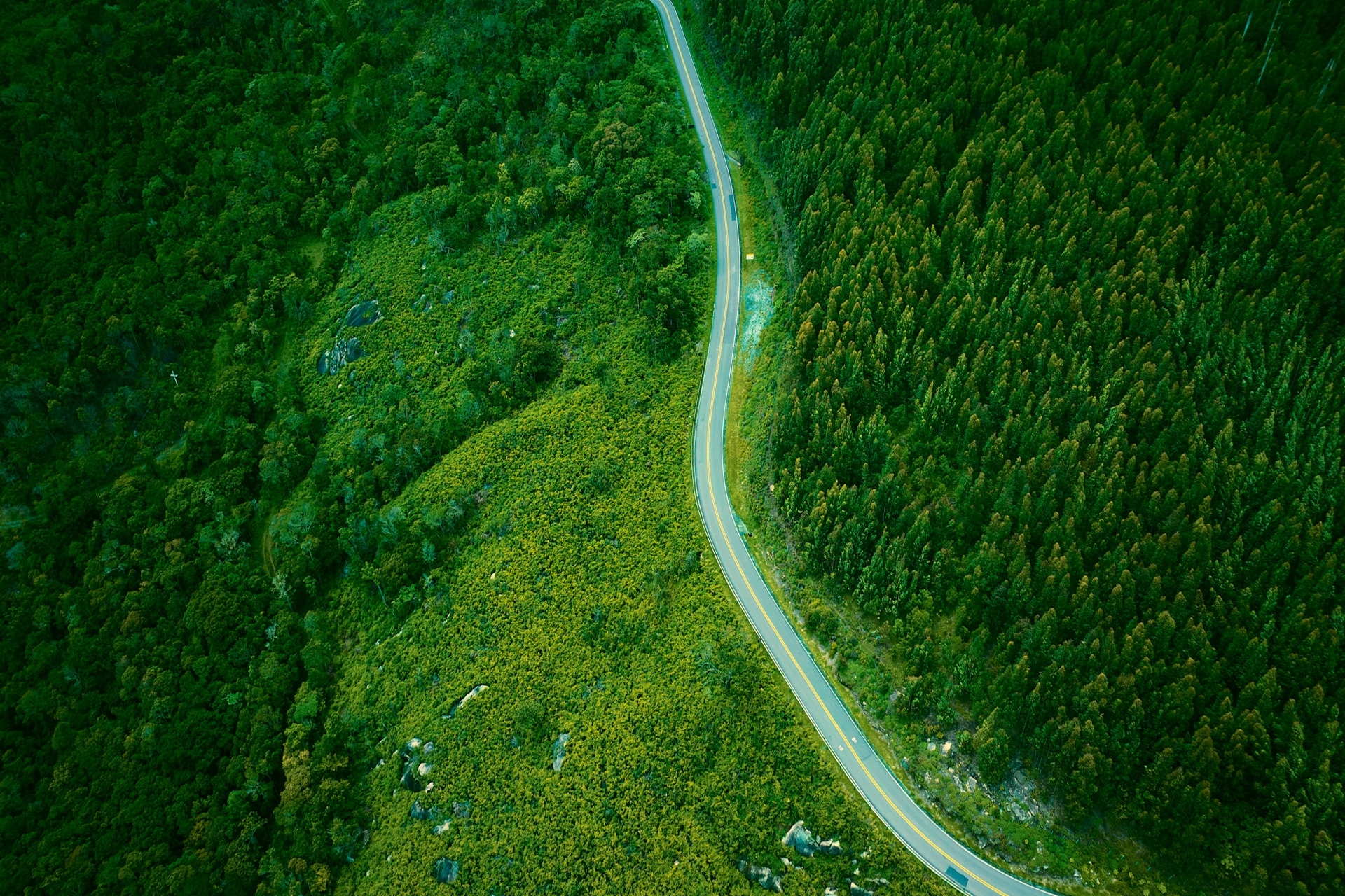 DSV – Global Transport and Logistics wyróżnione w najnowszym raporcie Forum Odpowiedzialnego Biznesu