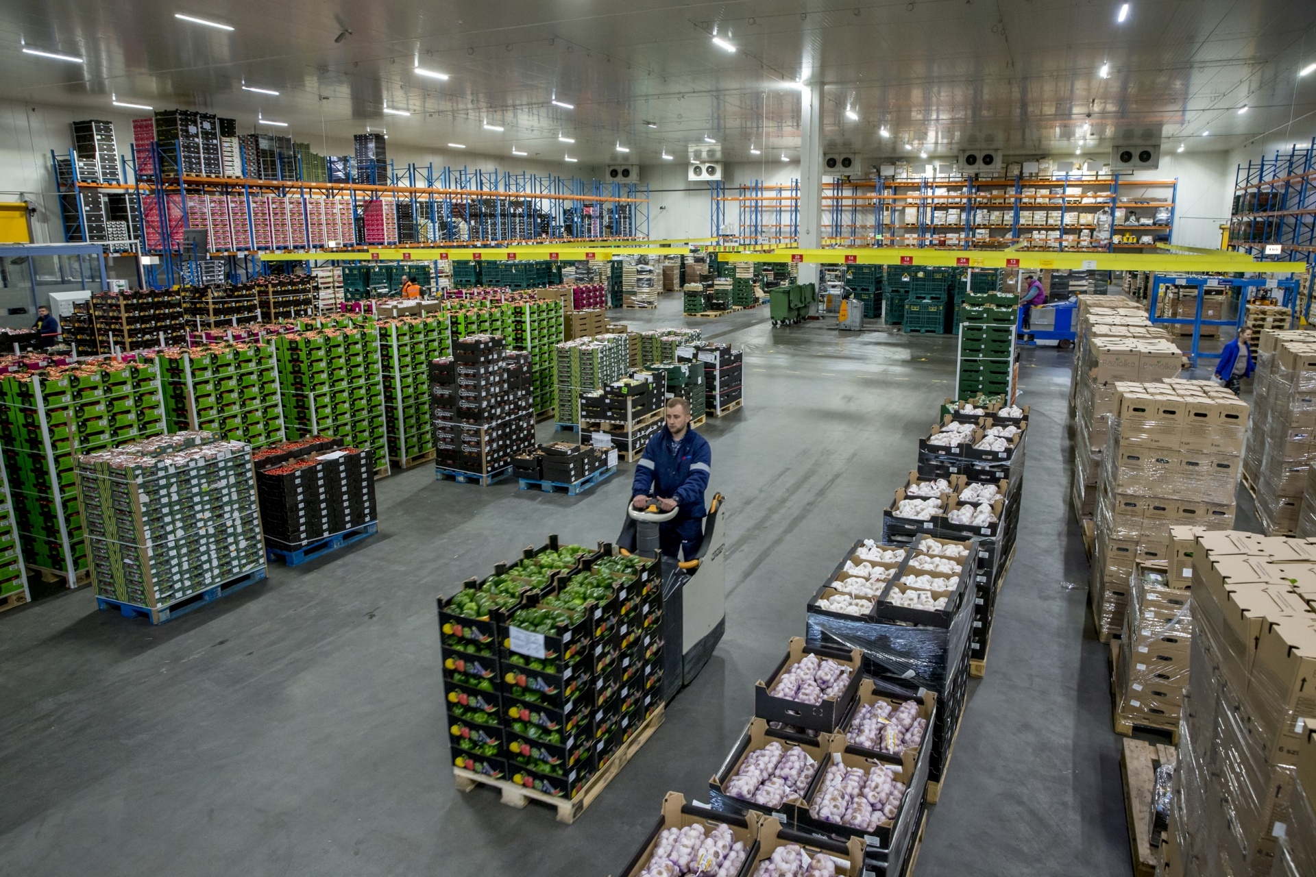 Profesjonalny operator i bezpieczeństwo logistyki segmentu fresh