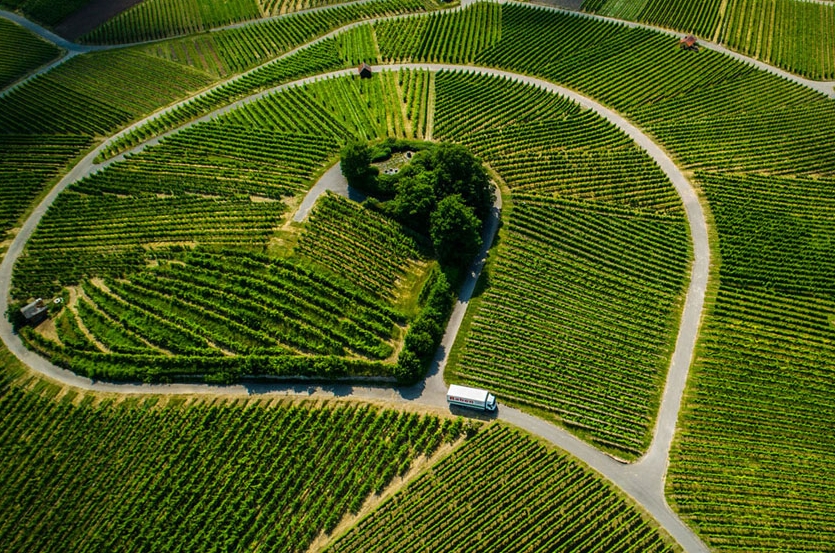 Zrównoważony transport drogowy – jak Raben Logistics redukuje ślad węglowy