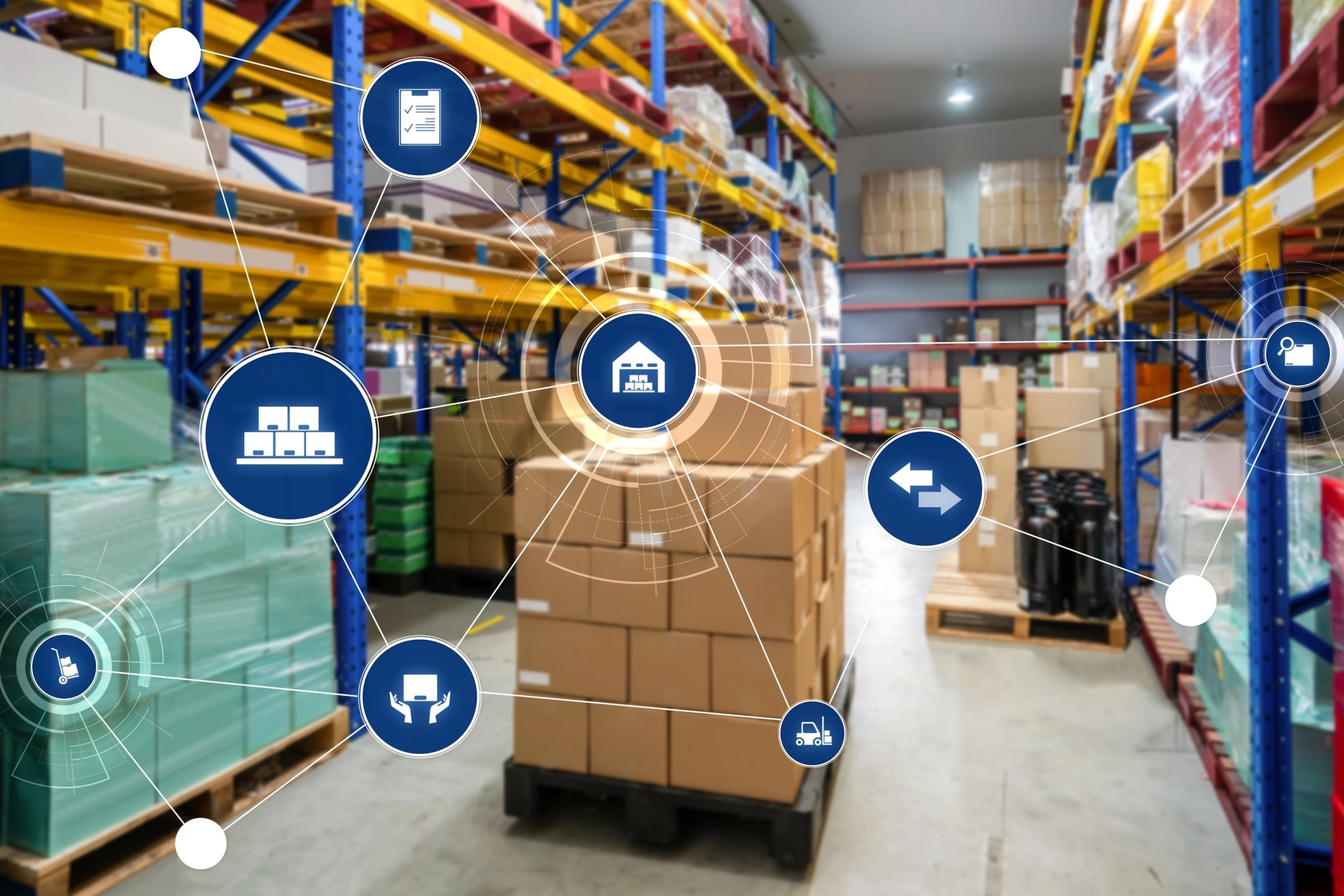 Locus Robotics odnotowuje rekordowy rozwój