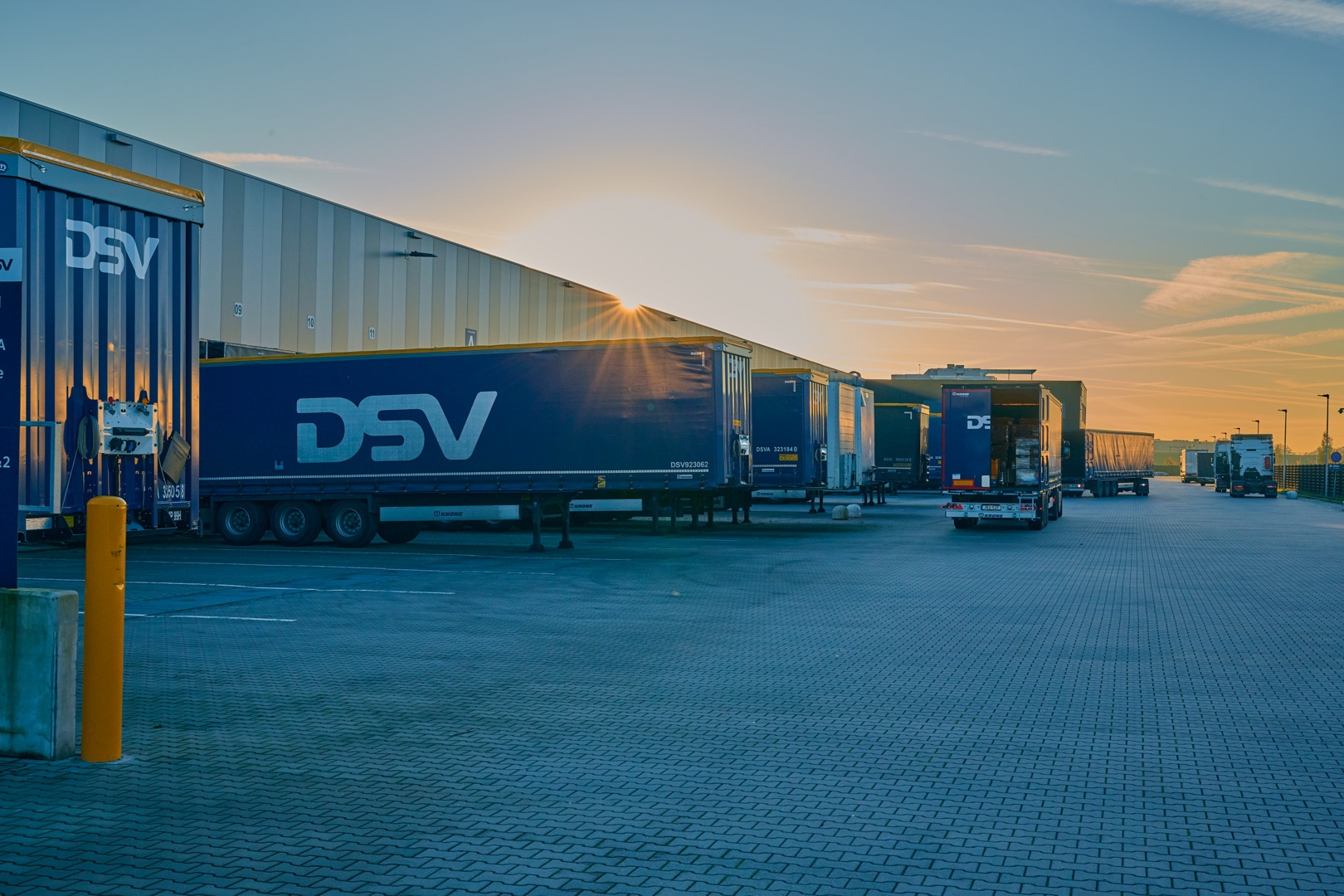 Ciężarówki pełne świątecznych choinek