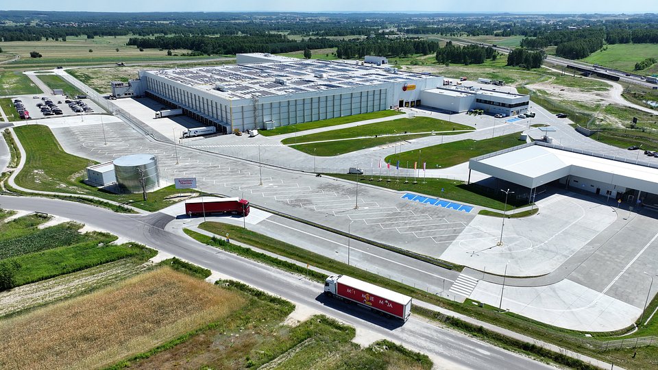 Automatycznie zapisany szkic