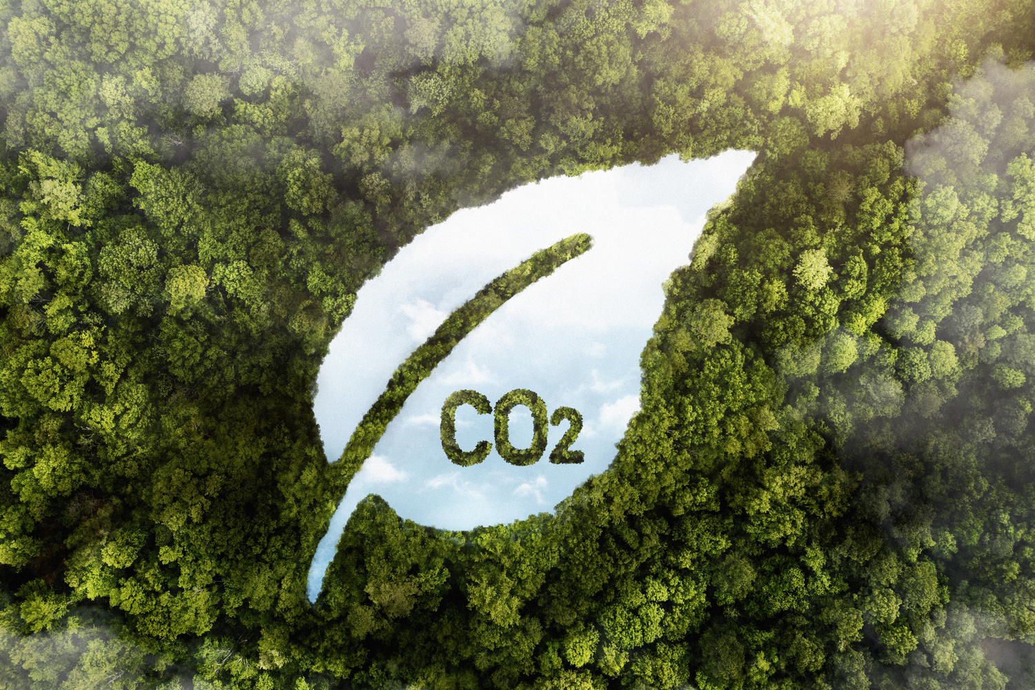 FM Logistic redukuje CO2