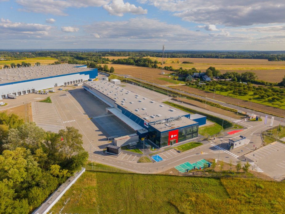 Automatycznie zapisany szkic