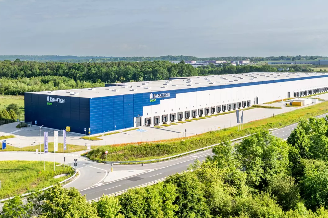 Automatycznie zapisany szkic