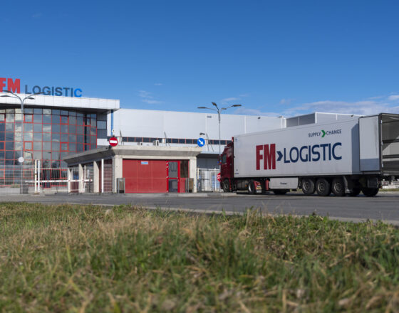 Automatycznie zapisany szkic