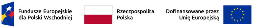 Puste przebiegi w mieście. Dlaczego flota zarabia tylko przez część dnia